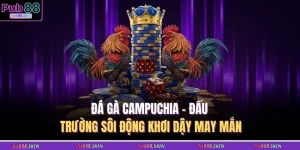 da ga campuchia dau truong soi dong khoi day may man