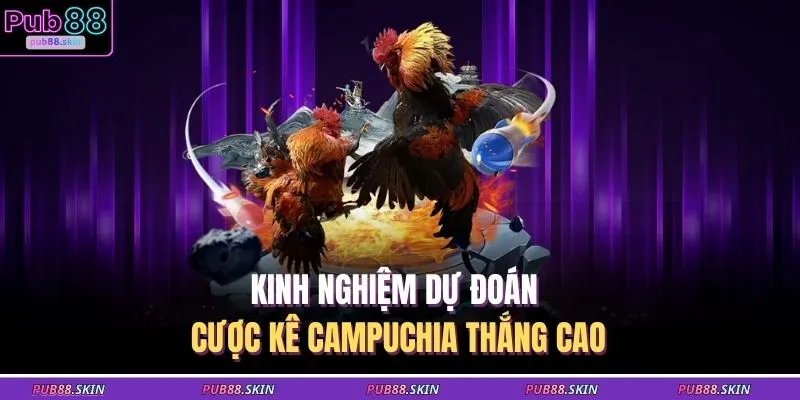 Kinh nghiệm dự đoán cược kê Campuchia thắng cao