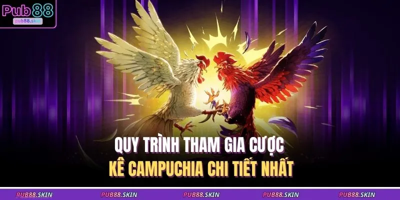 Quy trình tham gia cược kê Campuchia chi tiết nhất