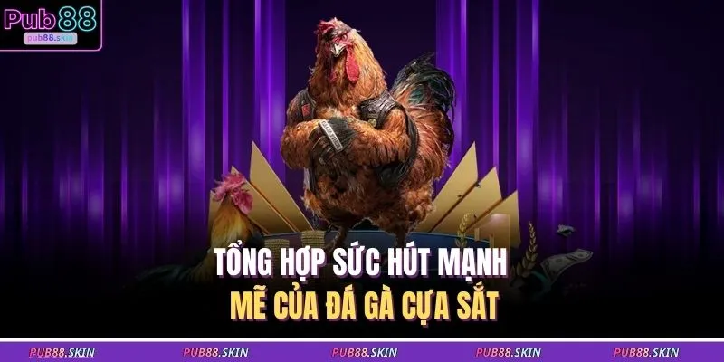 Tổng hợp sức hút mạnh mẽ của đá gà cựa sắt 